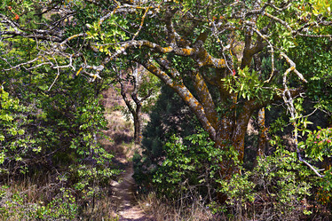 Similar image 10743109