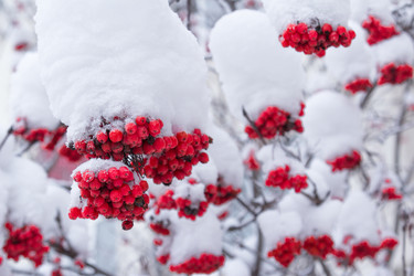 Similar image 10743110