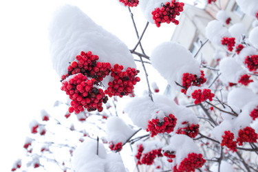 Similar image 10743111