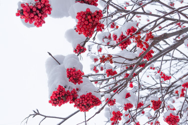 Similar image 10743112