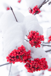 Similar image 10743113