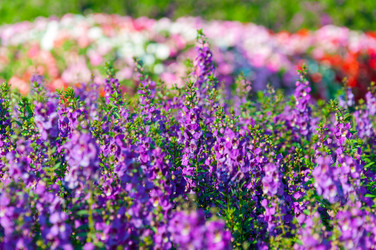 Similar image 10743220