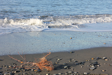 Similar image 10743230