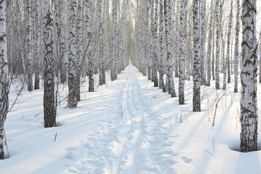 Similar image 10743239