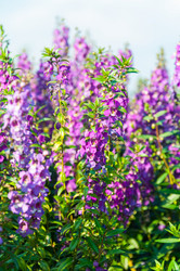 Similar image 10743424