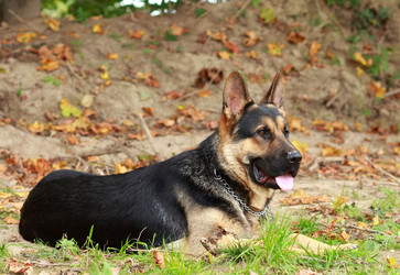 Similar image 10743426