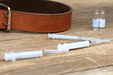 Similar image 10743428