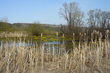 Similar image 10743445