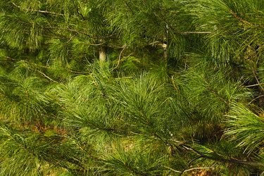 Similar image 10743582