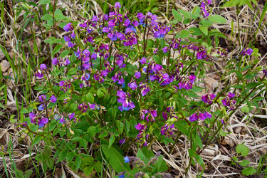 Similar image 10743584