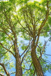 Similar image 10743585