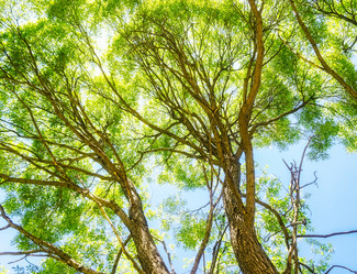 Similar image 10743586