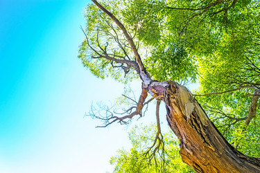 Similar image 10743588