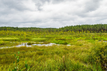 Similar image 10743594