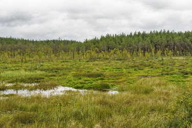 Similar image 10743596