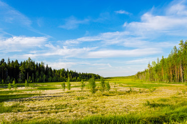 Similar image 10743602