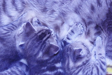 Similar image 10743742