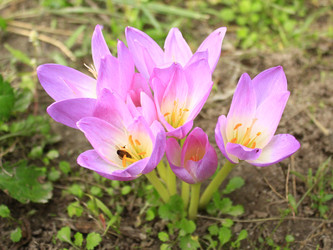 Similar image 10743754