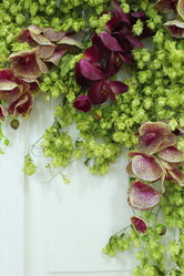 Similar image 10743755