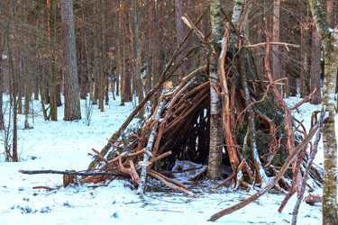 Similar image 10743834