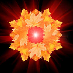 Similar image 10744022