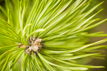 Similar image 10744091