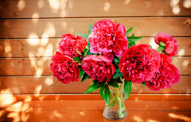 Similar image 10744277