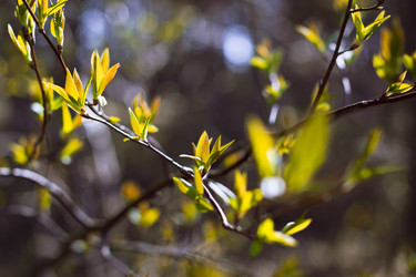 Similar image 10744279