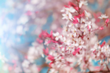 Similar image 10744284