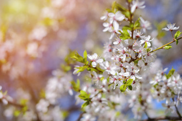 Similar image 10744285