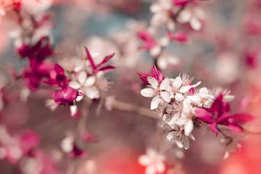 Similar image 10744288