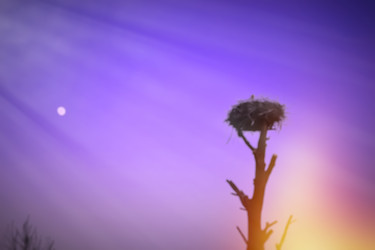 Similar image 10744295