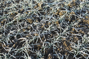 Similar image 10744314