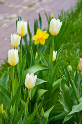 Similar image 10744370