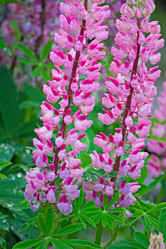 Similar image 10744381