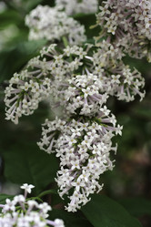 Similar image 10744422