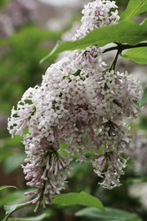 Similar image 10744424