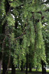 Similar image 10744428