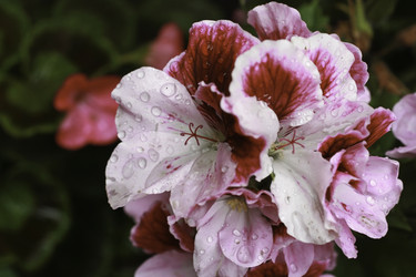 Similar image 10744430