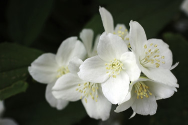 Similar image 10744431