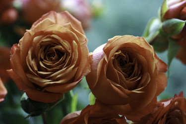 Similar image 10744435