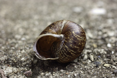 Similar image 10744436