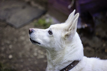 Similar image 10744439