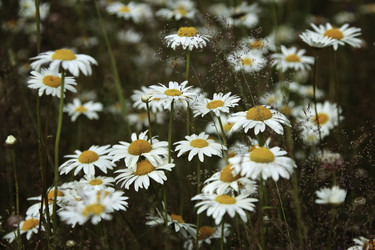 Similar image 10744440