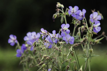 Similar image 10744441