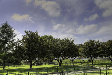 Similar image 10744442