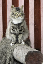 Similar image 10744519