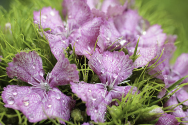 Similar image 10744520