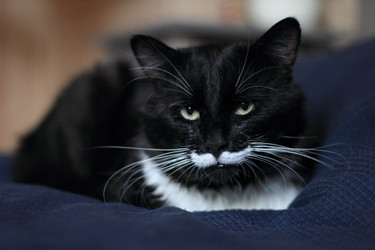 Similar image 10744764