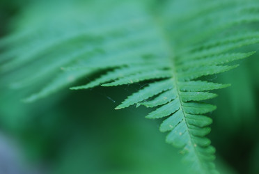 Similar image 10744842